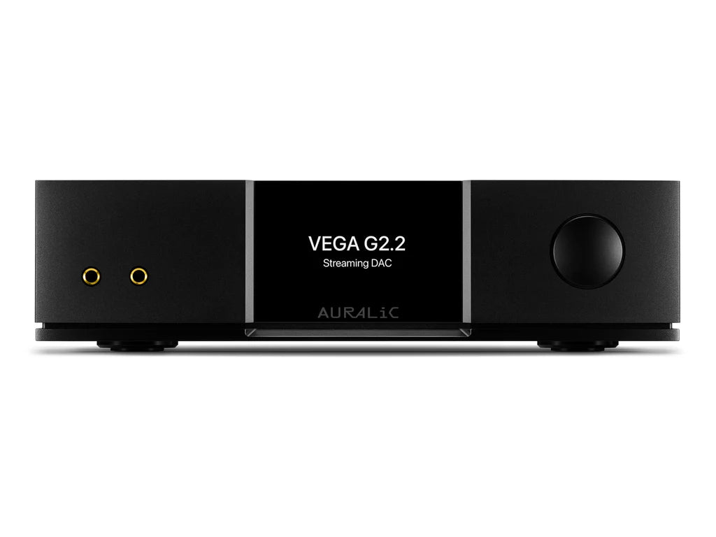 Auralic Vega G2.2 – Audio Connection